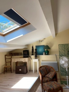 Dpt Tarn (81), à vendre PUYLAURENS maison P9 de 260 m² - Terrain de 5 571,00 m² 