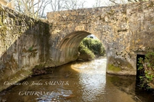 FOR SALE - EXCEPTIONAL MILL IN REVEL - CHARMING RENOVATED PROPERTY ON 11 HA WITH SWIMMING POOL, POND, PHOTOVOLTAIC & HYDROELECTRIC POTENTIAL in REVEL (31)