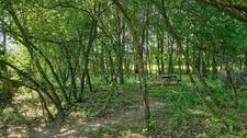 À VENDRE - Maison familiale- semi plain pieds- spacieuse en pleine campagne Thiérachienne- LA FLAMENGRIE (02)