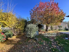 Maison à vendre 4 pièces  (31)