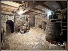 Stone house for sale in Champigny-En-Rochereau (86), single storey, to renovate, 3 rooms, 2 bedrooms, 870 m² plot with outbuildings
