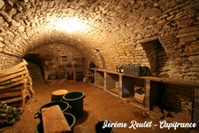 Dpt Vienne (86), for sale Champigny-En-Rochereau house P8 of 220 m² - Land of 1,017.00 m²