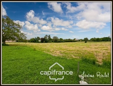 Stone house for sale to renovate, 5 rooms, 3 bedrooms, outbuildings, 1.5 ha of land, Champigny-En-Rochereau (86)