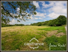 Stone house for sale to renovate, 5 rooms, 3 bedrooms, outbuildings, 1.5 ha of land, Champigny-En-Rochereau (86)