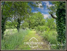 Stone house for sale to renovate, 5 rooms, 3 bedrooms, outbuildings, 1.5 ha of land, Champigny-En-Rochereau (86)