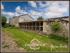 Stone house for sale to renovate, 5 rooms, 3 bedrooms, outbuildings, 1.5 ha of land, Champigny-En-Rochereau (86)