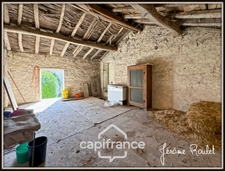 Stone house for sale in Champigny-En-Rochereau (86), single storey, to renovate, 3 rooms, 2 bedrooms, 870 m² plot with outbuildings