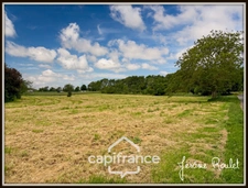 Stone house for sale to renovate, 5 rooms, 3 bedrooms, outbuildings, 1.5 ha of land, Champigny-En-Rochereau (86)