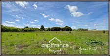 Maison en pierre à vendre 5 pièces 2 chambres Nombreuses Dépendances Terrain 22 400 m² Champigny-En-Rochereau (86)