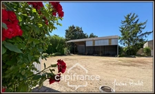 Stone house for sale in Champigny-En-Rochereau (86), 6 rooms, 4 bedrooms, 1900 m² plot with outbuildings