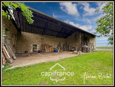 Stone house for sale to renovate, 5 rooms, 3 bedrooms, outbuildings, 1.5 ha of land, Champigny-En-Rochereau (86)
