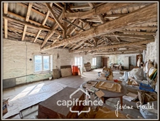 Stone house for sale in Champigny-En-Rochereau (86), single storey, to renovate, 3 rooms, 2 bedrooms, 870 m² plot with outbuildings