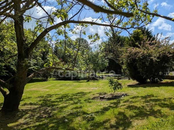 Maison familiale de 115 m² – 4 chambres – Sous-sol complet – Terrain arboré de 3 357 m² – Secteur AUMALE (76)