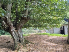 LONGÈRE À RÉNOVER – NOMBREUSES DÉPENDANCES – 3 760 M² DE TERRAIN-ENTRE POIX DE PICARDIE ET AUMALE