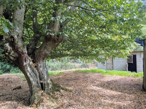 LONGÈRE À RÉNOVER – NOMBREUSES DÉPENDANCES – 3 760 M² DE TERRAIN-ENTRE POIX DE PICARDIE ET AUMALE