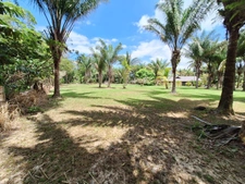 Terrain à vendre de 15 221,00 m² MANA (973)
