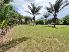 Terrain à vendre de 15 221,00 m² MANA (973)