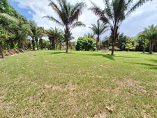 Terrain à vendre de 15 221,00 m² MANA (973)