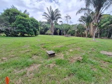 Terrain à vendre de 15 221,00 m² MANA (973)