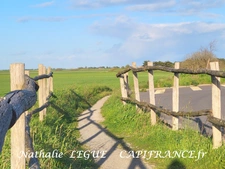 (85) Vendée BEAUVOIR sur MER proche NOIRMOUTIER , Maison 120 m²  à vendre 7 pièces terrain 736 m² clos, 3 chambres , 1 bureau , cellier