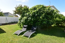 Vendée LA BARRE DE MONTS (85) Proche forêt , plage et NOIRMOUTIER Maison à Vendre en VIAGER OCCUPE 7 pièces 3 chambres, 1 bureau , véranda , garage terrain clos 515 m²