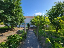 BEAUVOIR SUR MER ( 85 ) proche centre ville entre CHALLANS et NOIRMOUTIER  Maison à VENDRE en vente à terme libre , 3 chambres , 2 WC , garage terrain clos 800 m² puits