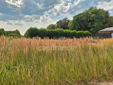 Terrain à bâtir viabilisé de 578,00 m² - Libre constructeur