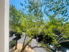 Studio loué vide 18,5 m2 Montpellier hôpitaux facultés 500€