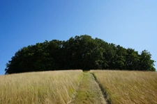 Maison à rénover sur 38650m² de terrain à 1h de Bordeaux , 3h30 de Paris - CLAIRAC (47)