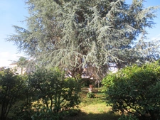 Dpt Lot et Garonne (47), Maison de maître du XVIIIème siècle à 25mn d'Agen, 1h de Bordeaux, 3h de Paris
