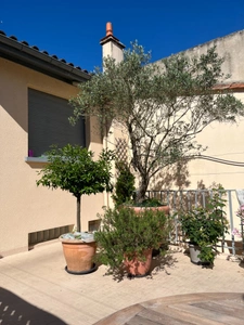Maison de 202m² avec terrasse de 53m², garage et potentiel professionnel à TONNEINS (47), 1h de Bordeaux