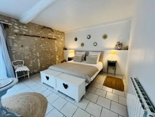 Propriété d'exception  570m² + activité gites entre Poitiers et Tours 