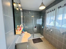 Maison 3 chambres + grand sous sol et grand terrain clos 10 min Châtellerault