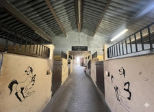Equestrian Estate with Cottages 20 minutes from Châtellerault