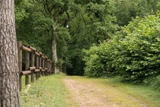 Equestrian Estate with Cottages 20 minutes from Châtellerault