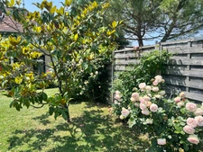 Propriété  sud Touraine 12 piéces