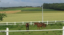 Equestrian Estate with Cottages 20 minutes from Châtellerault