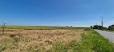 Dpt Marne (51), à vendre PLIVOT - Terrain à bâtir de 600 m²