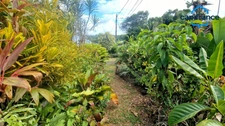 Vente spacieuse maison F5 dans zone pavillonnaire rurale au Lamentin (97232).