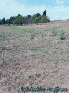 Terrain viabilisé de 2710 m2 RARE sur la commune de LIMONS (63290) 