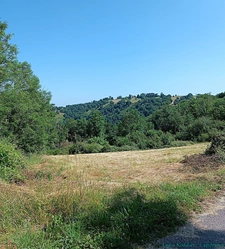 Terrain 4580m2 SAUVIAT-63120 secteur très calme et naturel
