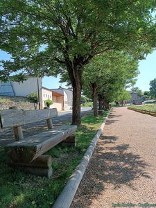 Terrain à vendre 4580m2 SAUVIAT (63120)