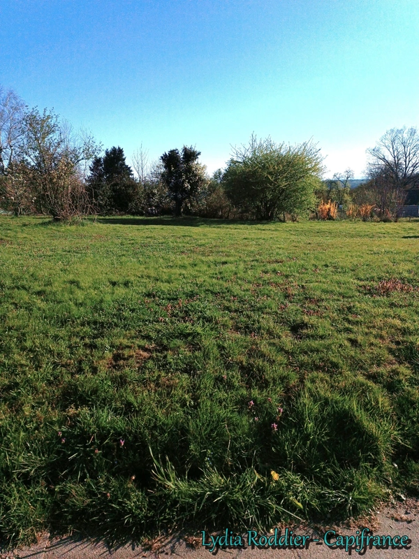 Terrain à vendre - RARE sur PUY GUILLAUME (63290)
