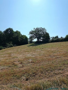 Terrain 4580m2 SAUVIAT-63120 secteur très calme et naturel