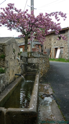 Maison 5 pièces sur les hauteurs de Thiers-63300