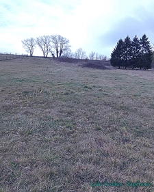 Terrain 1355 m2 / deux parcelles à vendre à LIMONS (63290)