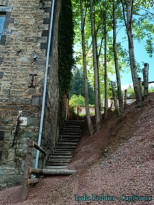 Rare 10-room mansion with land in Thiers (63300)