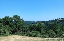 Terrain 4580m2 SAUVIAT-63120 secteur très calme et naturel