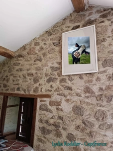 Fermette 10 pièces - grande grange - Rare à SAINT VICTOR MONTVIANEIX (63550) en Auvergne-Rhône Alpes