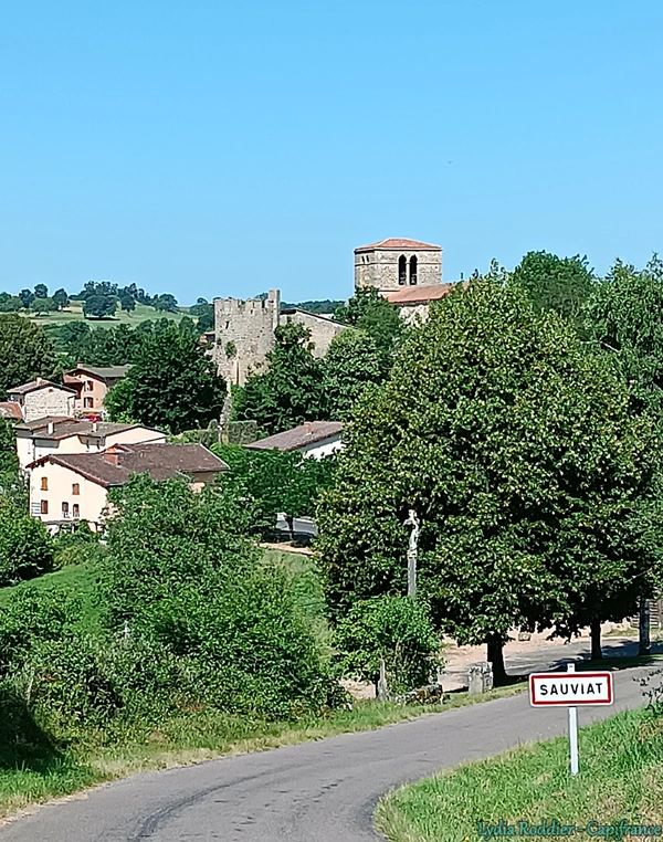 Terrain 4580m2 SAUVIAT-63120 secteur très calme et naturel